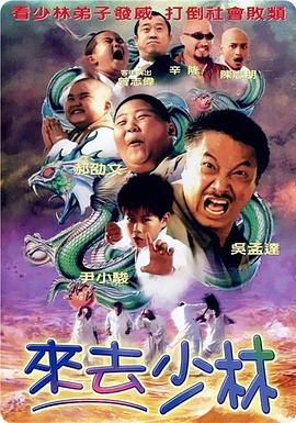 啄木鸟满天星系列