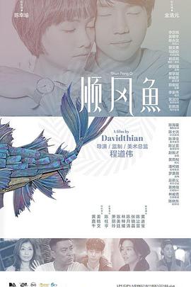 overflow在线播放