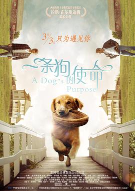 暗夜的禁曲