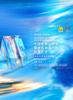 惩罚tk视频vk