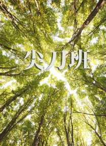 91毛片网站