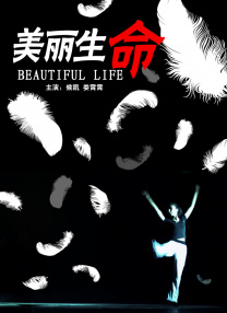 欧美人与动