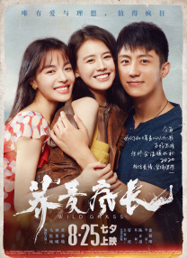 成熟的玫瑰3
