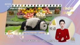 傻傻的女友